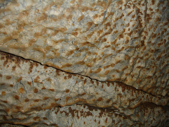 Тигровата кожа в Ягодинска пещера, с. Ягодина, Родопите